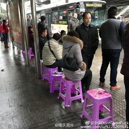 重庆婆婆最新爆料,家庭琐事中的温馨与智慧
