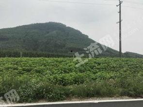 广西土地爆料最新消息,最新爆料揭示土地交易新趋势