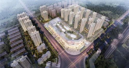 诸城半岛爆料最新消息视频,视频揭秘事件真相