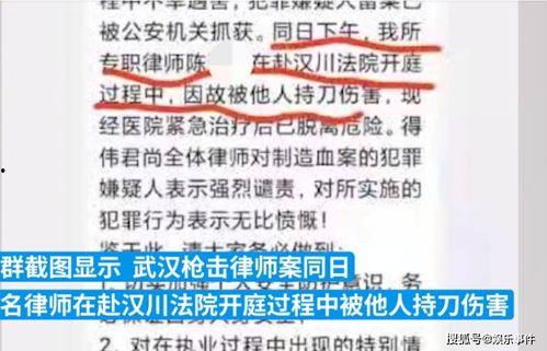 武汉职场爆料案件最新,揭秘职场潜规则与利益冲突的漩涡